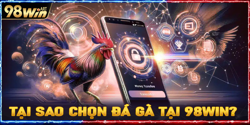 Tại sao chọn đá gà tại 98win? 